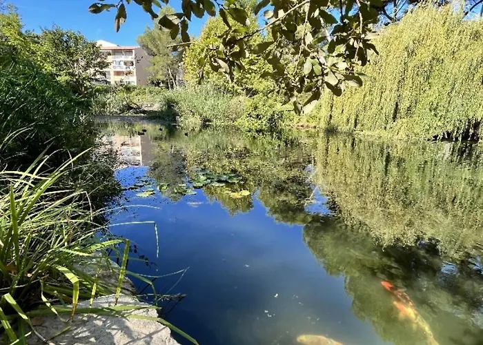Domaine De La Coudouliere - Appartement